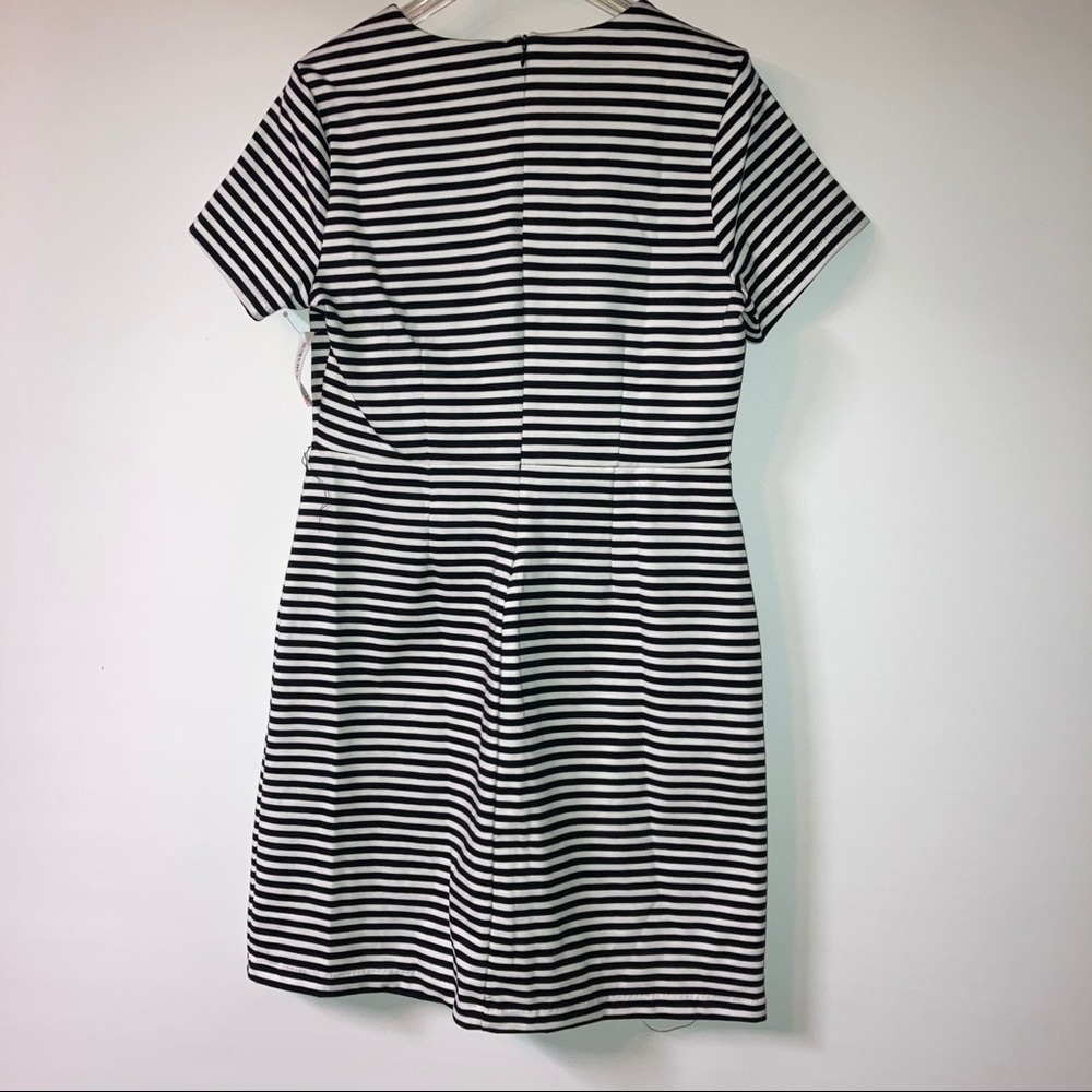 Striped Dress - Picture 3 of 3